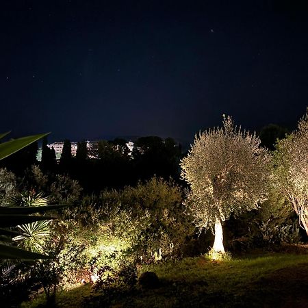הוילה דאסיה Casa Sofia מראה חיצוני תמונה