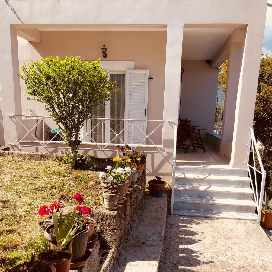 הוילה דאסיה Casa Sofia מראה חיצוני תמונה