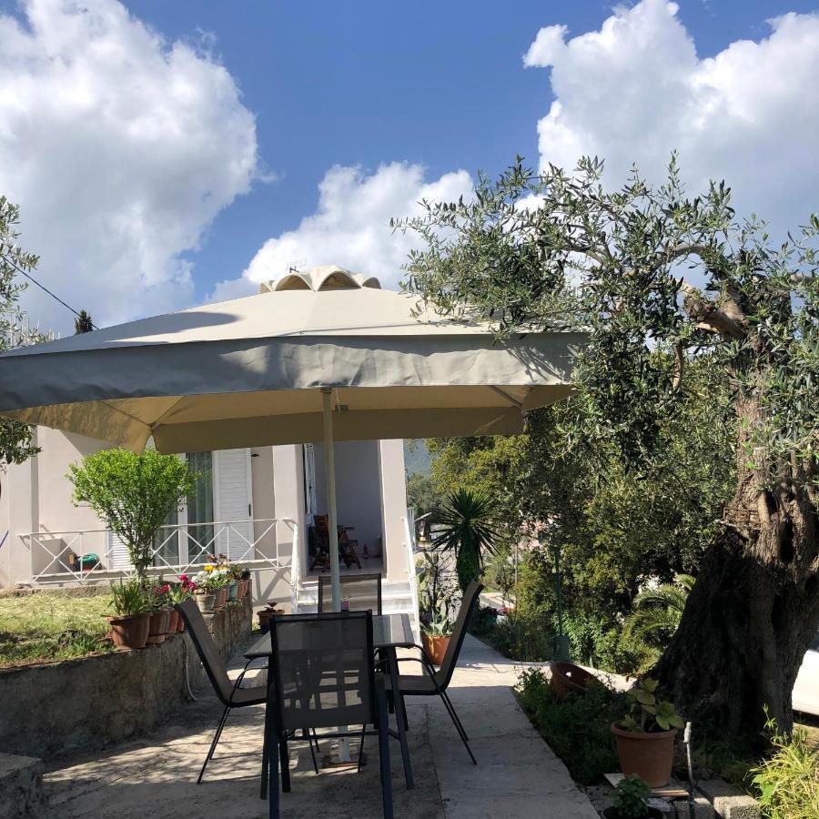 הוילה דאסיה Casa Sofia מראה חיצוני תמונה